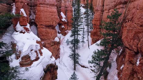 Crimson-Colored-Hoodoos-Covered-With-Snow-In-Bryce-Canyon-National-Park-In-Utah,-United-States