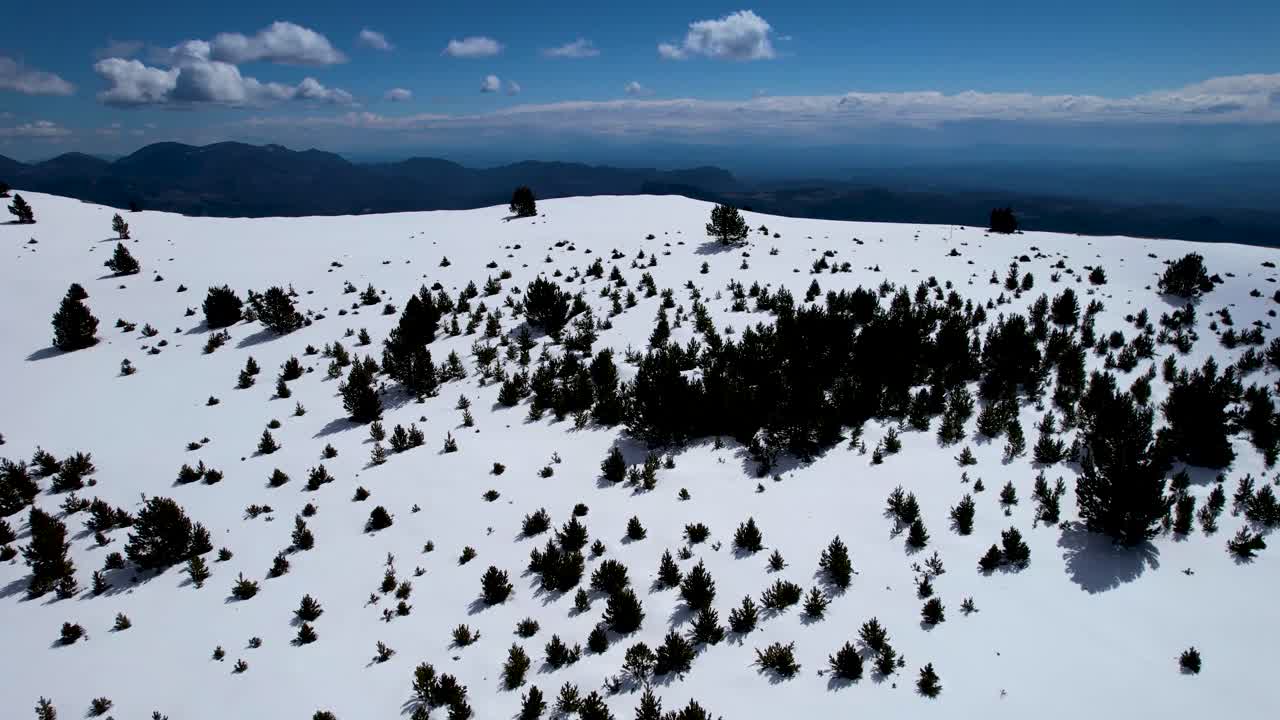 paisaje nevado en un día soleado de un bosque alpino cerca de un acantilado en invierno visto desde un dron dji