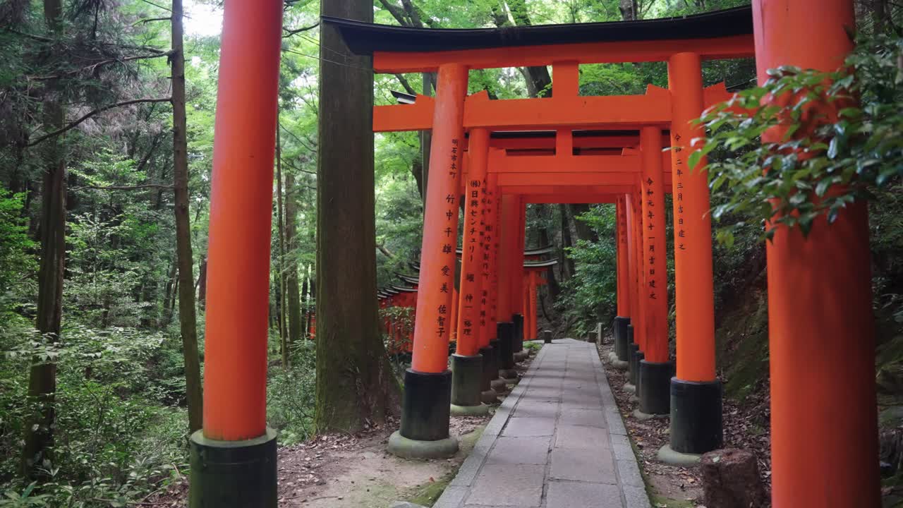 Fushimi Inari Taisha, Torii Gate Walkway Through Mountain Forest in Japan