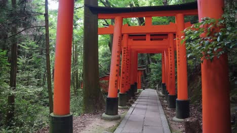 fushimi inari taisha, torii gate walkway through mountain forest in japan