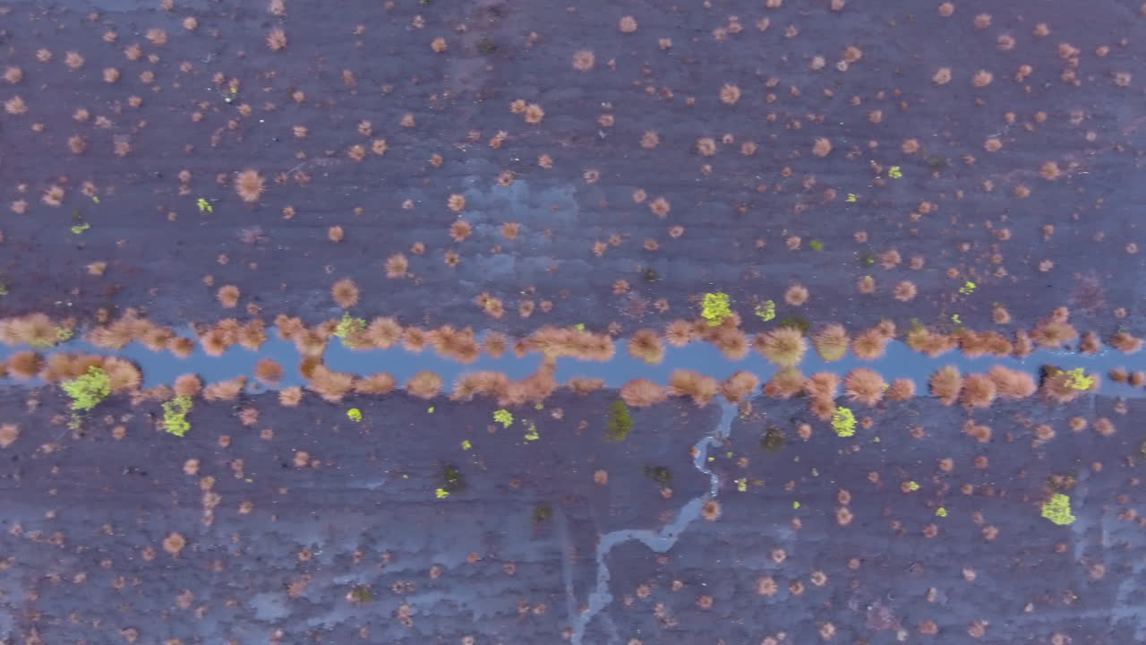 disparo de pantano de drones aéreos neblinosos