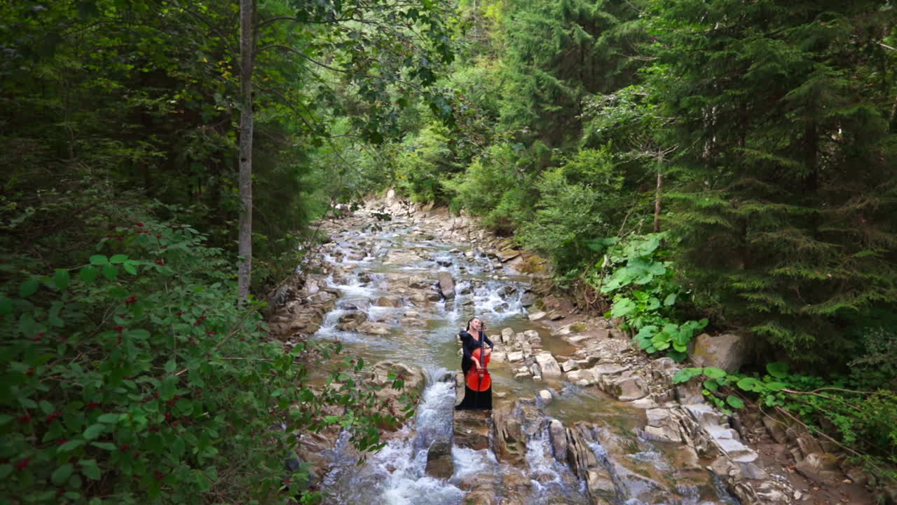 Young woman cello player. Beautiful cellist classical musician with musical instrument on nature.