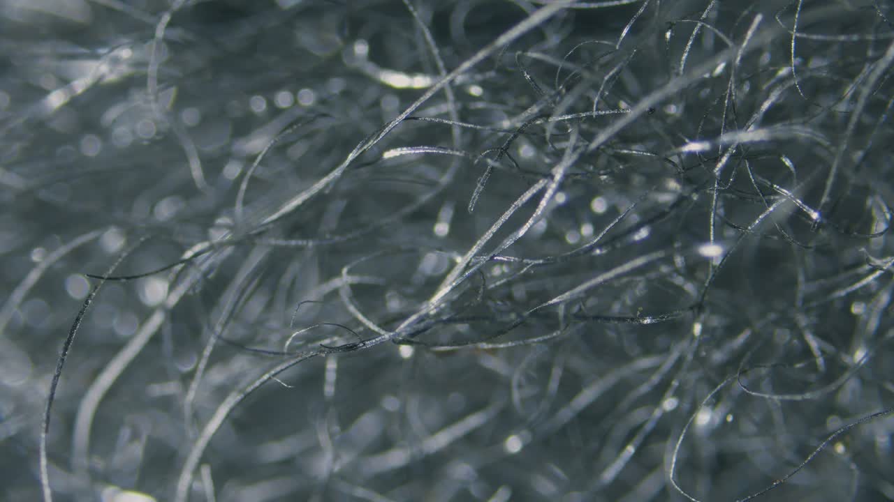 Steel wool fibers under microscope low magnification