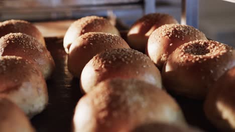 Nahaufnahme-Frischer-Brötchen-In-Reihe-Mit-Mohn-In-Zeitlupe