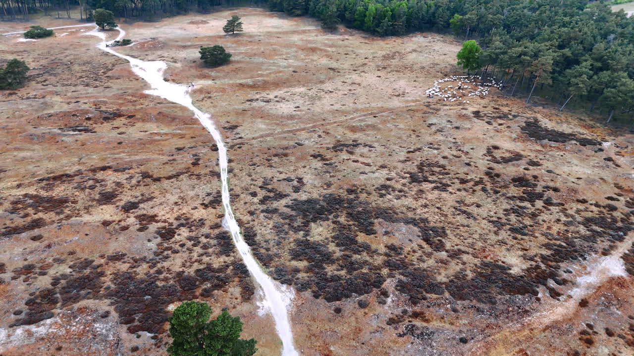 Winding path in scenic nature. A winding path leads through a dry, open landscape dotted with scattered trees and greenery, showcasing nature's beauty
