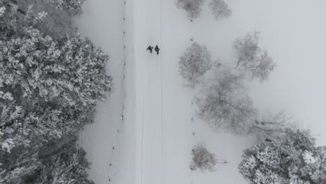 2 personas caminando a través de un bosque invernal congelado desde arriba