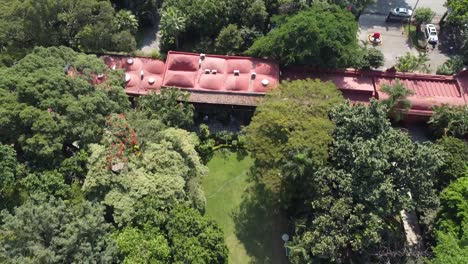 Aerial-revealing-shot-of-a-dense-botanical-garden-from-above