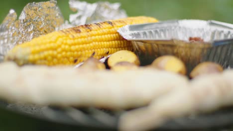 vegan bbq: close up of vegetables