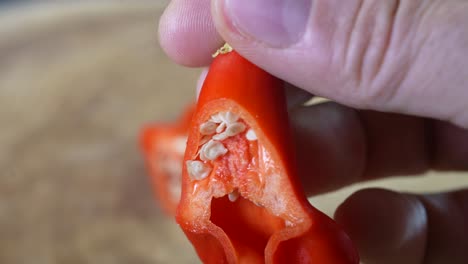 inside of mad hatter pepper, capsicum baccatum