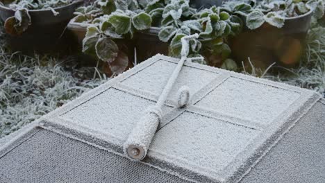 Close-up-of-frozen-outdoor-barbeque-tong