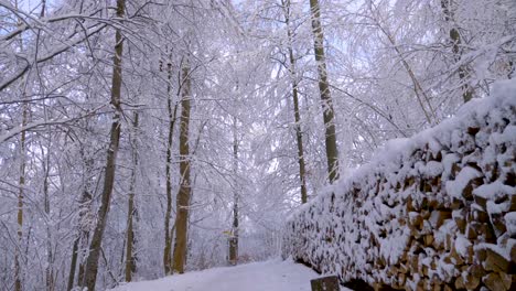 Pov-Schlendern-Durch-Das-Winterwunderland-Mit-Großen-Stapeln-Von-Schneebedecktem-Brennholz-In-Einem-Wald-Im-Winter-In-Bayern,-Deutschland