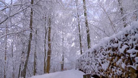 pov strolling through winter wonderland with big piles of snow covered firewood in a forest during winter in bavaria, germany