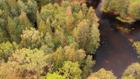 Estanque-Y-Parque-De-La-Ciudad-De-Gulbene