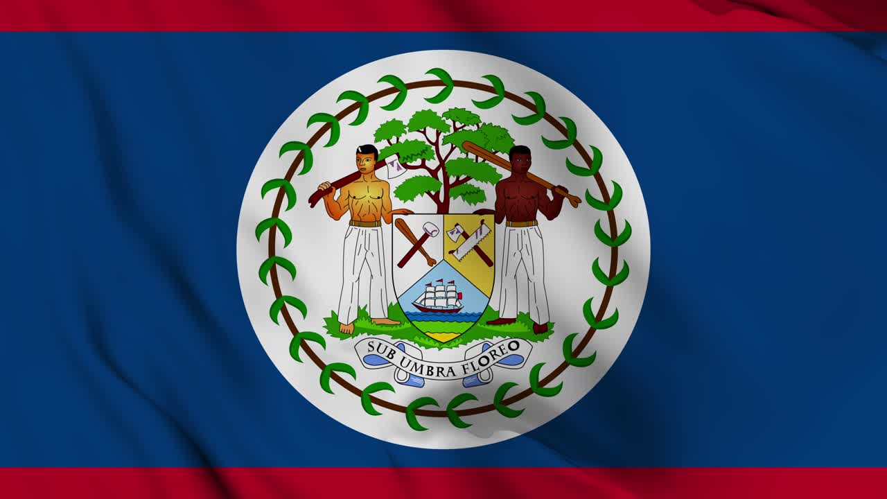 벨리즈의 발을 무없이 흔들고 있는 애니메이션