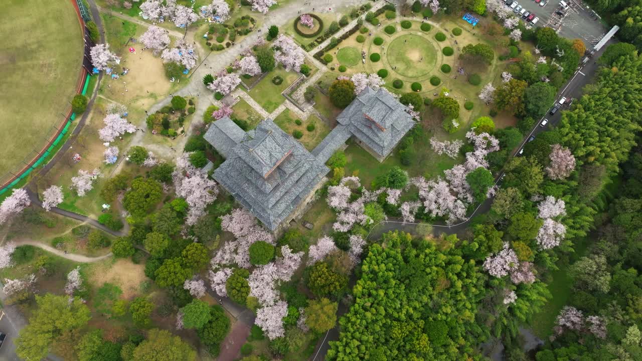 Aerial tops down ancient Fushimi Castle Momoyama, Kyoto Japan building around Cherry Blossom Spring flowered trees