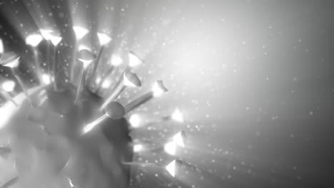 virus de la corona en blanco y negro