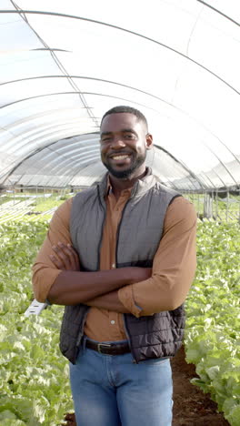 vertical video: smiling farmer standing in hydroponic farm, arms crossed, surrounded by lettuce