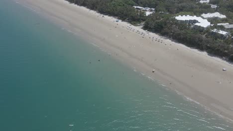 tourists swim at four mile beach with calm blue ocean - port douglas in far north queensland