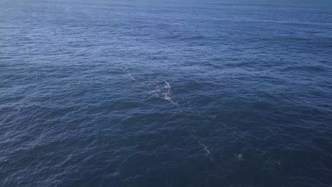 agua de mar azul oscuro