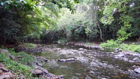 Bach-Blickt-Flussaufwärts,-Wasser-Fließt-Zwischen-Kleinen-Felsen-Hinunter