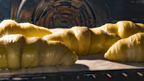 croissant dough bake in electric home oven - baking buttery croissant bread