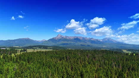 Descend above the vast pine tree forest growing in the valley. White fluffy clouds hang over the Tatra mountain range. Slovakia aerial