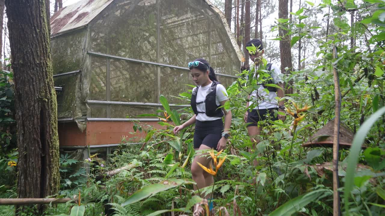 울창 한 숲 에서 산책 하는 사람 들