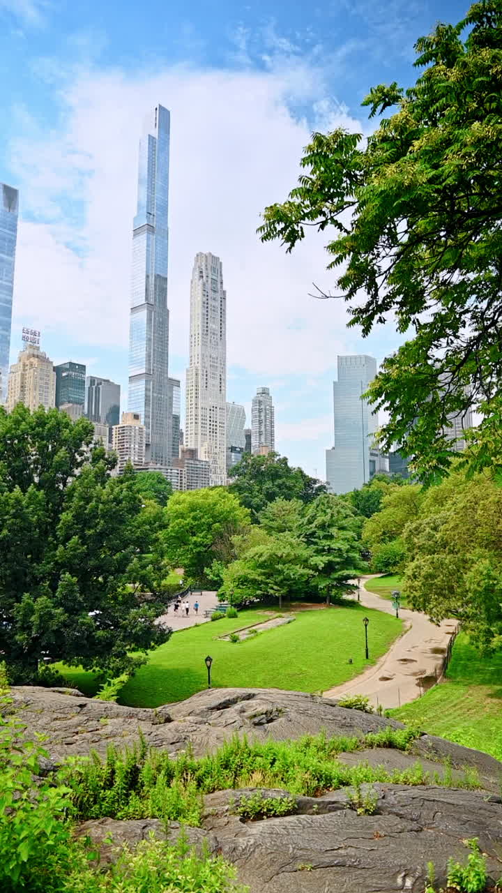 New York, USA, 28 July 2025: Park greenery and skyscraper view. Lush greenery in Central Park overlooks modern Manhattan skyscrapers under a clear sky on a sunny day