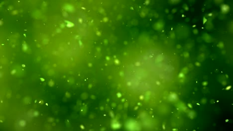 explotando hojas de té verde en 4k