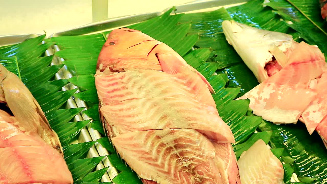 큰 도미 물고기