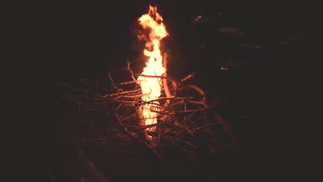 closeup shot of bonfiire in outdoor camping