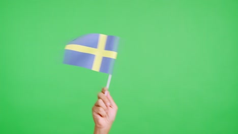 hand waving a pennant of a swedish national flag