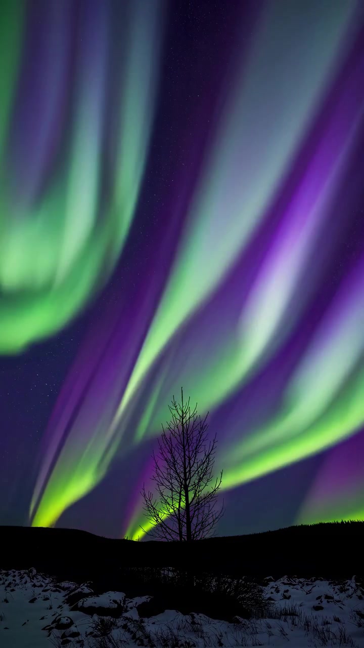 Vivace aurora boreale che danza sopra un albero solitario in inverno