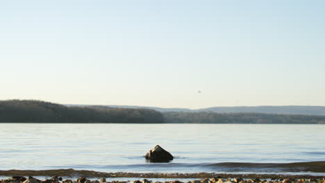 static footage of a rock that is close to the beach with water lapping up against it in the light of the sunset in chattanooga, tn.