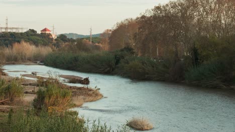 tranquil creek in middle of spanish nature, pan right