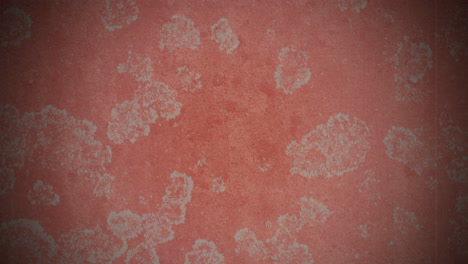 estrecha de textura, superficie roja con protuberancias irregulares y variadas sombras