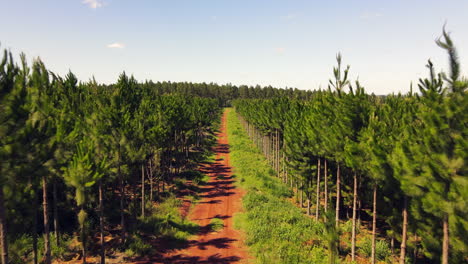 drone advancing over a dirt road