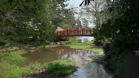 red bridge in japanese garden reflects in pond