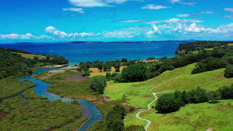 stream between the valleys in te muri regional park, new zealand