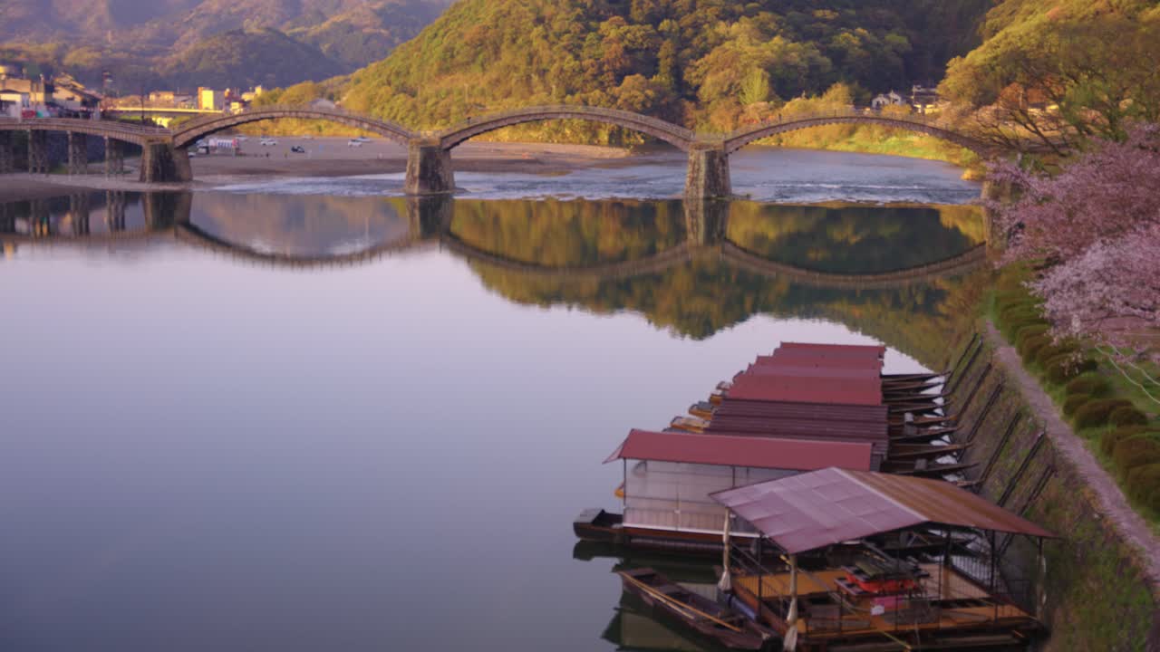 revelación de la inclinación del puente kintaikyo de iwakuni al amanecer en primavera, sakura en flor