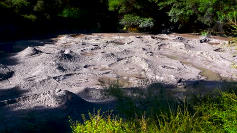 Boiling-Mud-Pool-In-The-Geothermal-Valley-Of-Whakarewarewa-Valley,-Rotorua,-New-Zealand