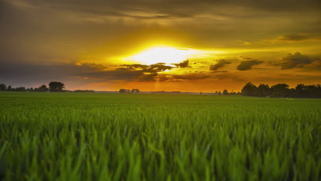 Dramatically-dark-yet-golden-sunset-time-lapse---beams-shining-through-the-clouds-over-farm-crops