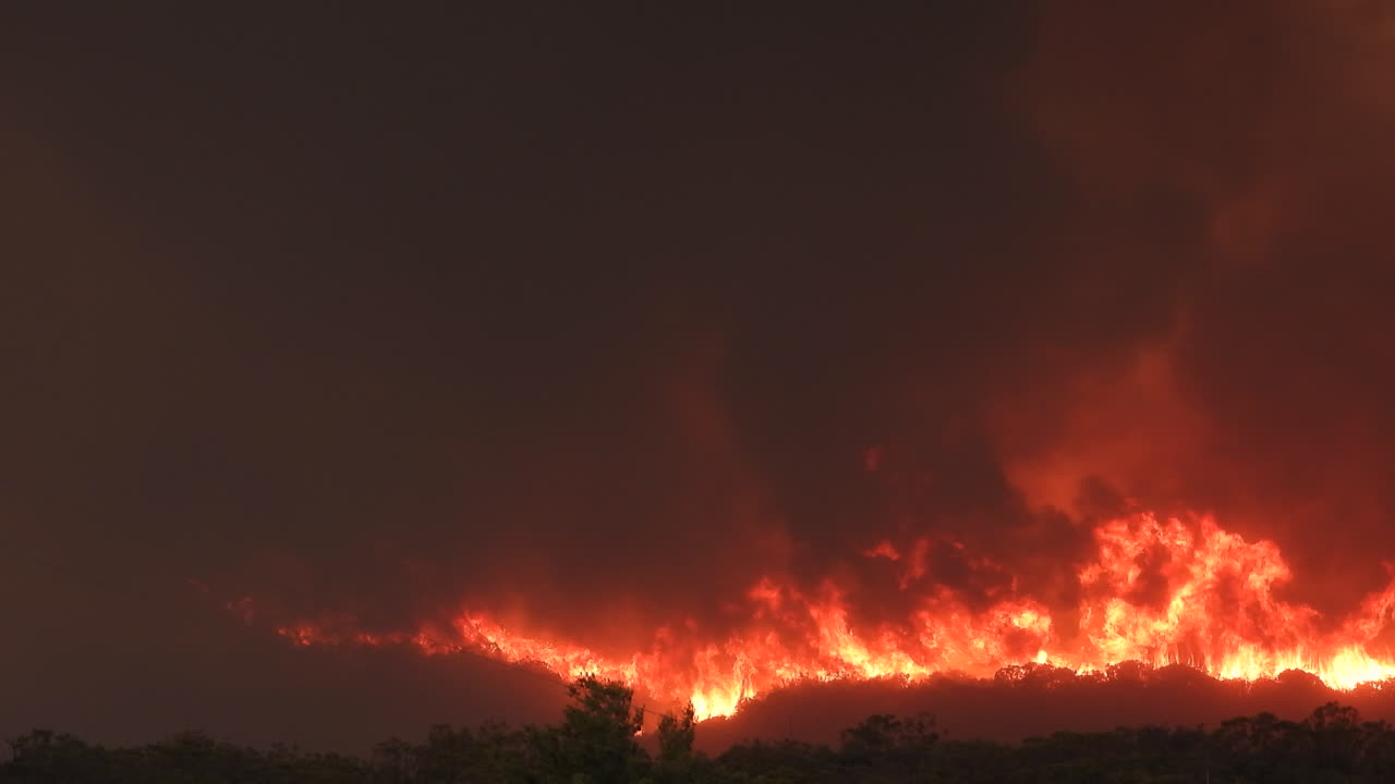 밤에 치명적인 산불이 숲을 태우고 짙은 검은 연기를 일으킴