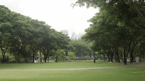 Vista-Panorámica-De-La-Vegetación-Del-Campo-De-Césped-Pequeña-Colina-Con-Arboleda-De-Rango-De-árboles-En-Un-Día-Soleado-De-Verano-Sin-Gente