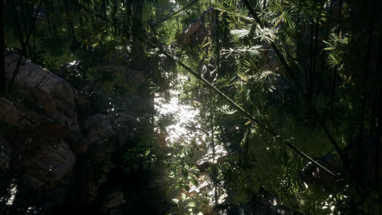 돌이 있는 연못의 연안 근처에 있는 울창한 초록색 대나무 잎.