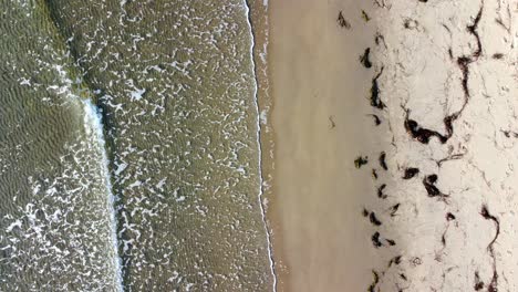 Aerial-static-shot-of-sandy-beach-from-above-in-northern-Denmark---Skagen