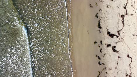 toma estática aérea de una playa de arena desde arriba en el norte de dinamarca - skagen
