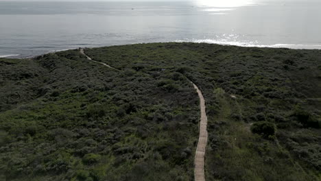 drone flying over beach pathway crystal cove state park