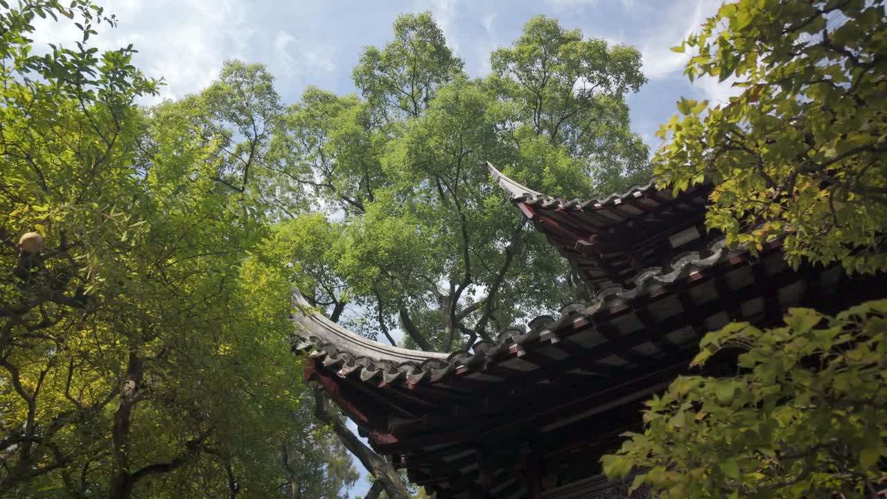 Slow motion upward view of traditional curved Chinese roof surrounded by tall ginkgo trees in sunny Yu Garden Shanghai, peaceful atmosphere