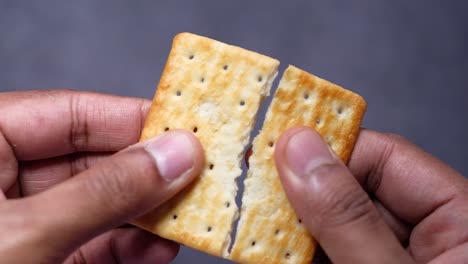 broken cracker in hands